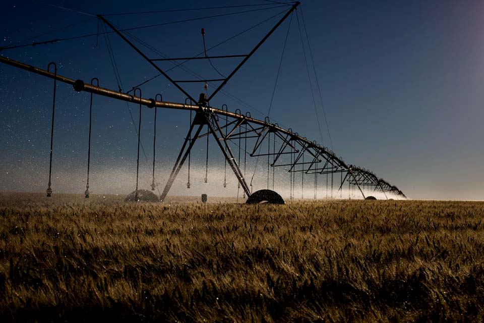 Decreto institui sistema que verifica emissões de carbono no agro