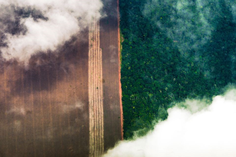 AGU consegue bloqueio de bens de desmatadores em Mato Grosso