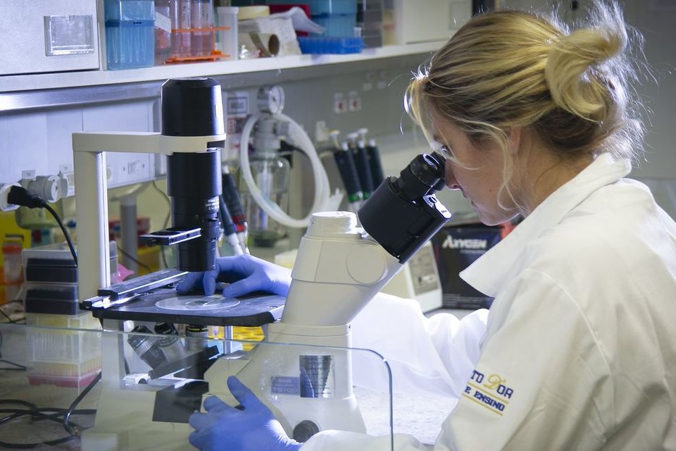 MEC autoriza antecipar formatura de alunos da área de saúde