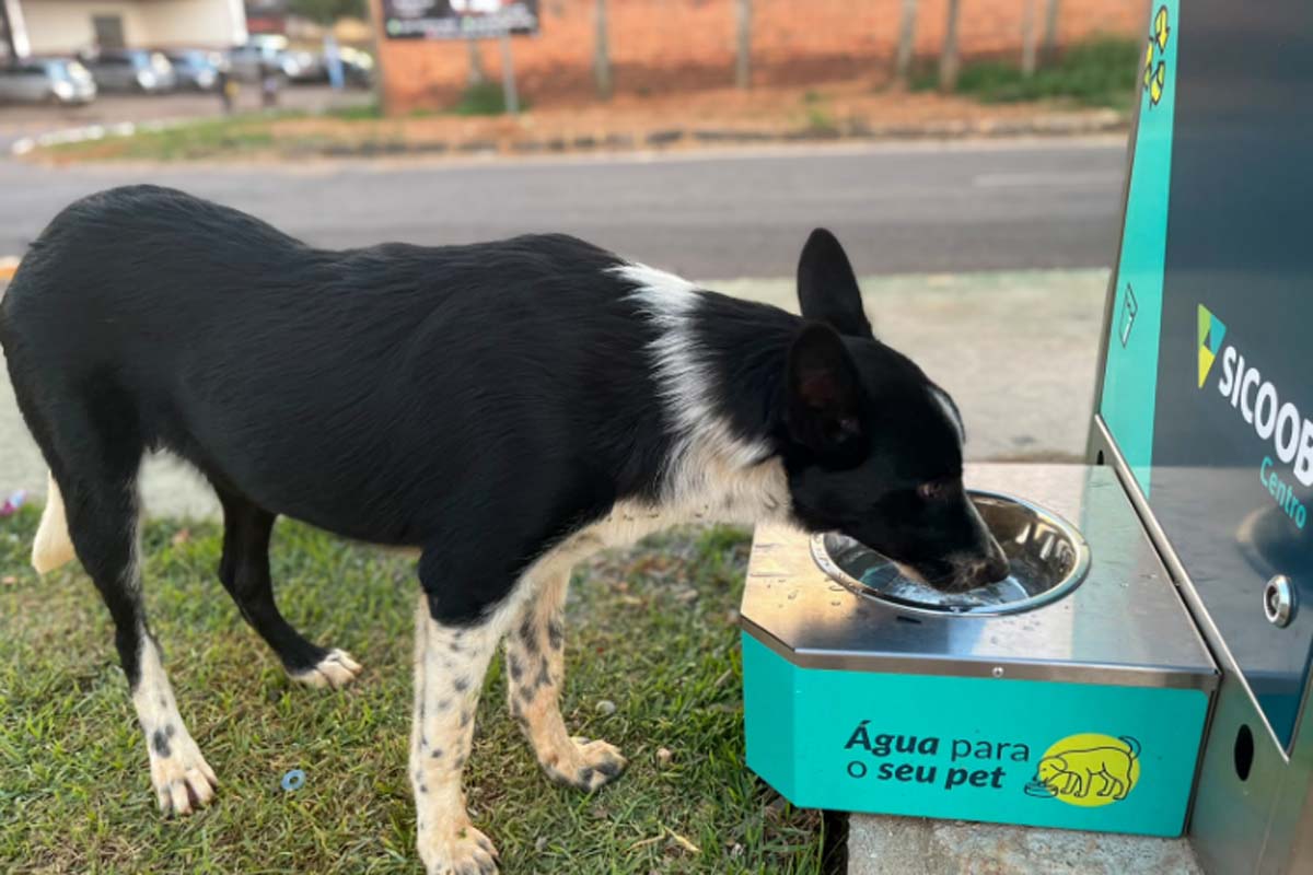 Pista de Caminhada da Linha 605 ganha ponto de hidratação com água potável gelada e bebedouro para pets