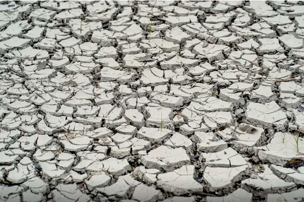 Estiagem: quinze cidades têm situação de emergência decretada