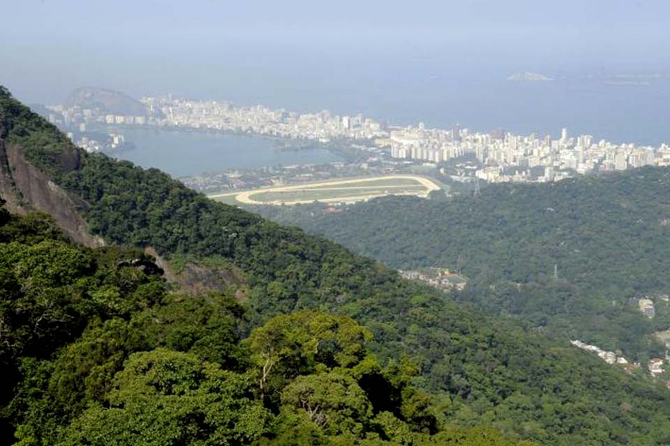 Petrobras refloresta área de Mata Atlântica no polo de gás de Itaboraí