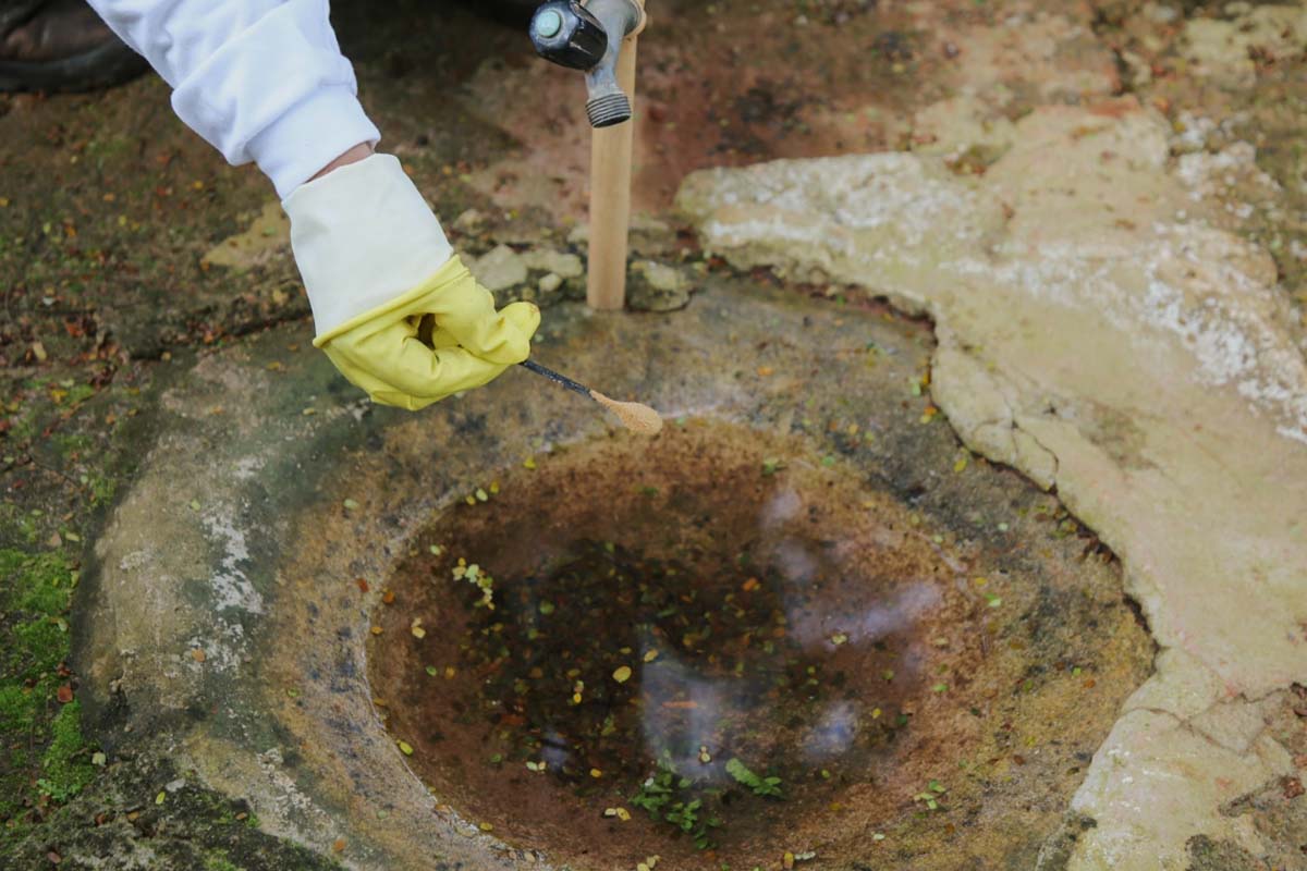 Vilhena intensifica combate à dengue com aplicação de fumacê em sete bairros