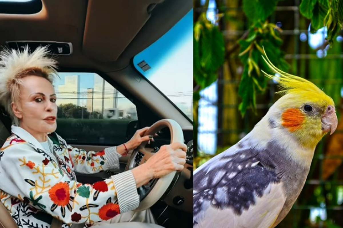 Ana Maria Braga sobre cabelo: 