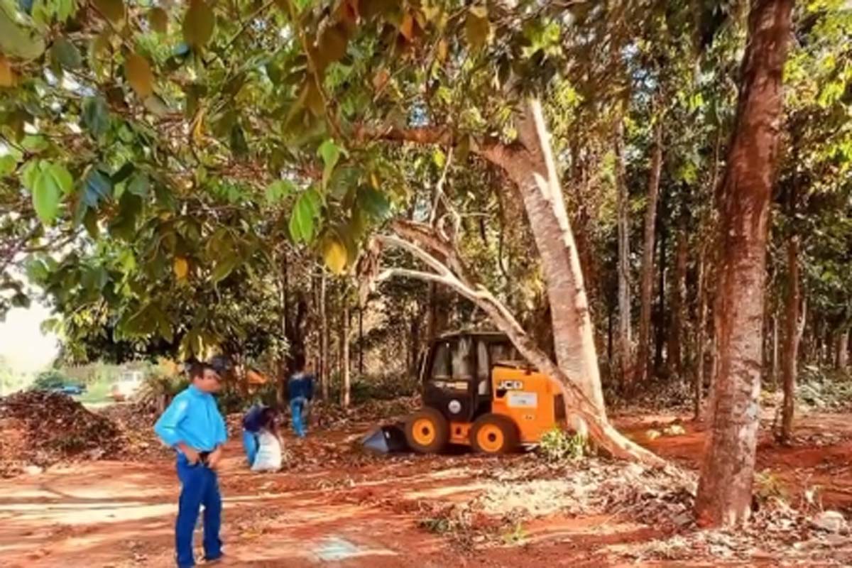 Matinha do bairro São José: Limpeza prepara espaço para nova fase de revitalização