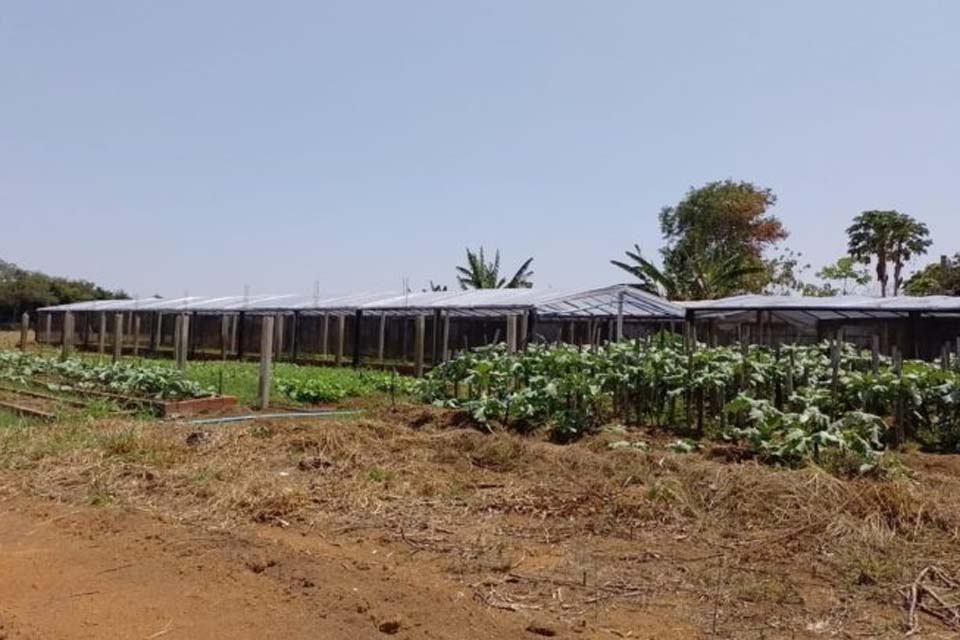 Produtores atendidos pela Semagri esta semana