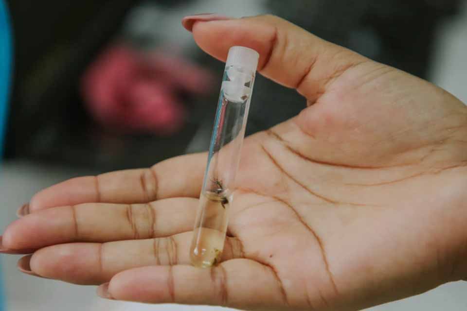  Prefeitura de Vilhena informa que pessoas com sintomas de dengue ou chikungunya procurem atendimento nas UBSs