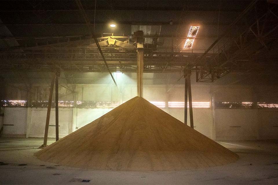 Ipea prevê cenário positivo para a produção agrícola em 2022