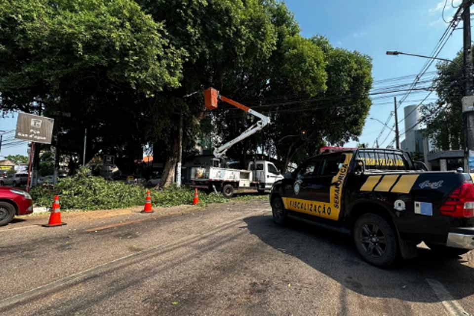Prefeitura de Porto Velho realiza poda de árvores na região da Praça da Três Caixas DÁgua