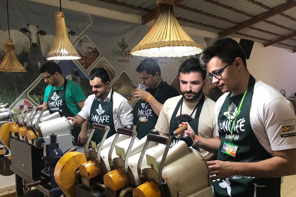 Mais de 300 amostras de café serão analisadas na 4ª edição do Concafé em Rondônia