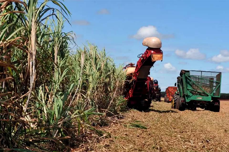Com 31 novos mercados abertos para o agronegócio, Brasil amplia presença dos produtos no mercado mundial