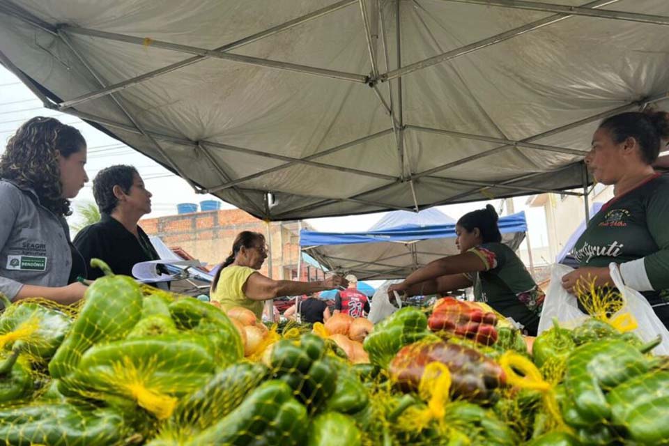 Programas de aquisição de alimentos garantem renda a centenas de agricultores familiares