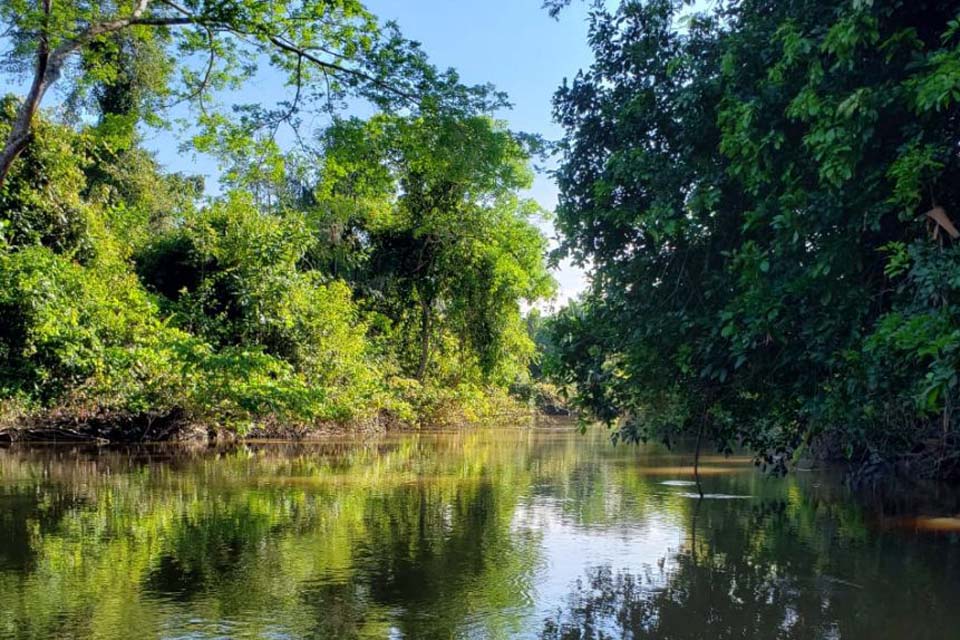 Aos 35 anos, Alvorada d’Oeste cresce com a agropecuária e busca solução ambiental
