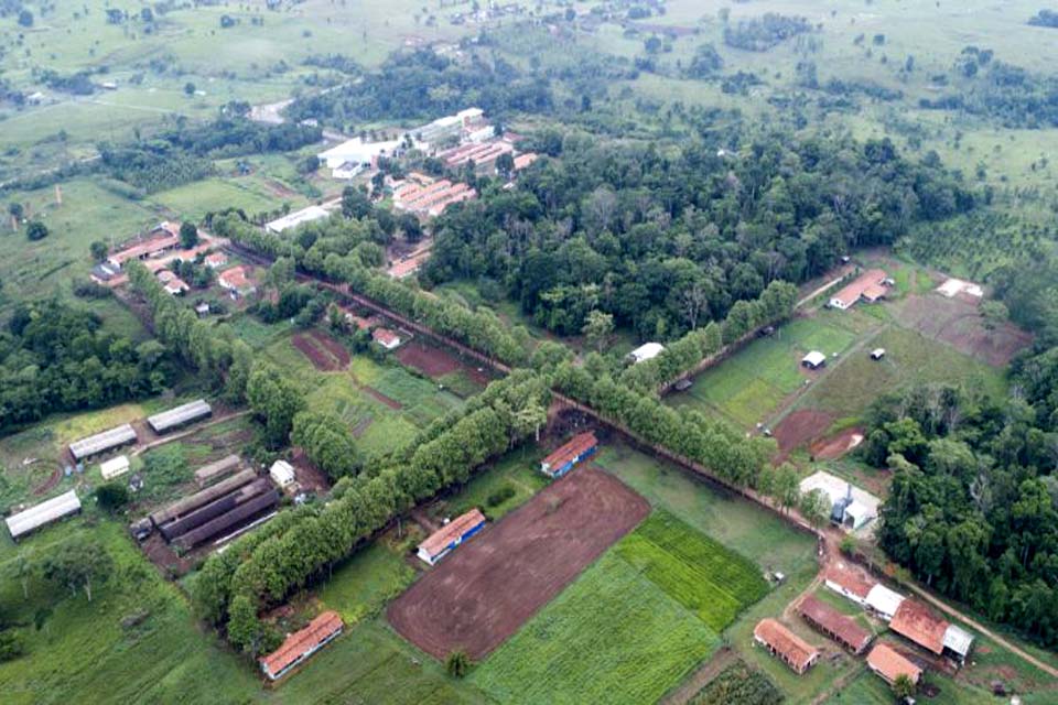 Campus Colorado do Oeste abre seleção de alunas para o curso de LIBRAS intermediário no Projeto Mulheres Mil