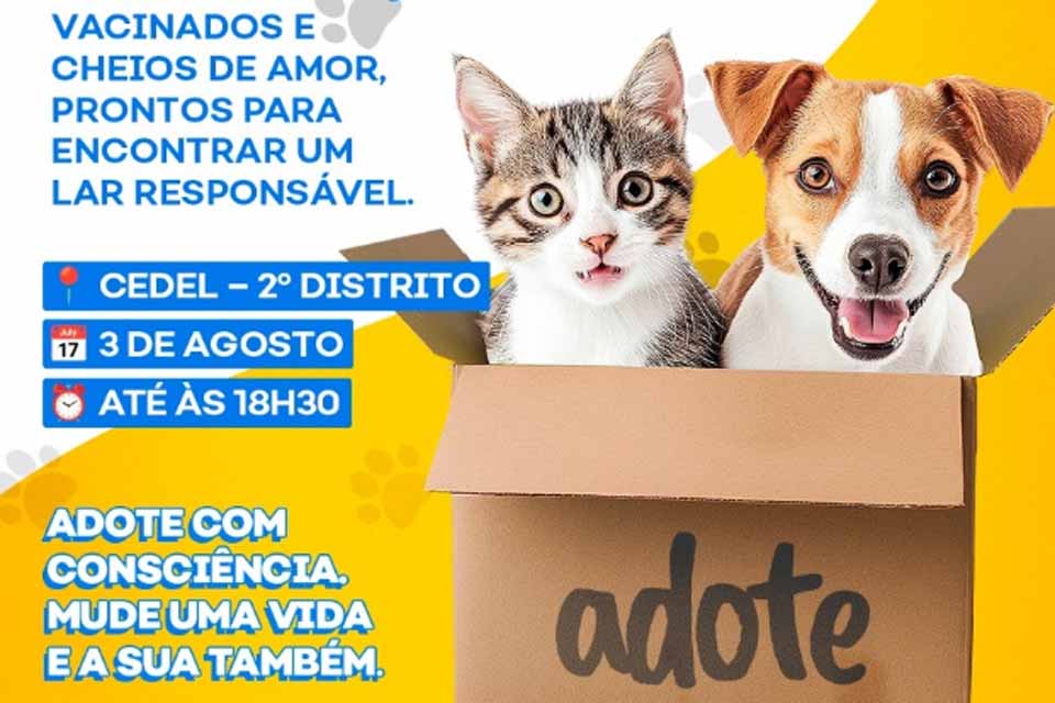 Prefeitura de Ji-Paraná realiza Feira de Adoção de cães e gatos