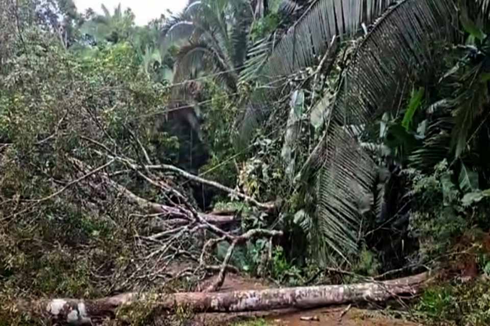 Sema age com rapidez após queda de árvores no Parque Natural Raimundo Paraguassu