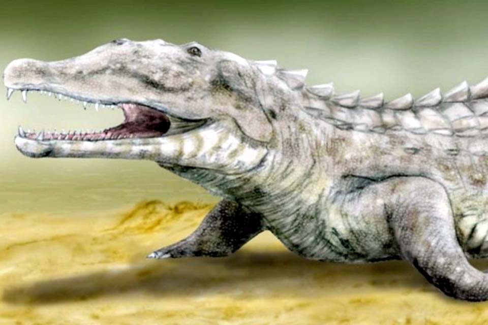 Nova espécie de dinossauro é encontrada por paleontólogos na Groenlândia