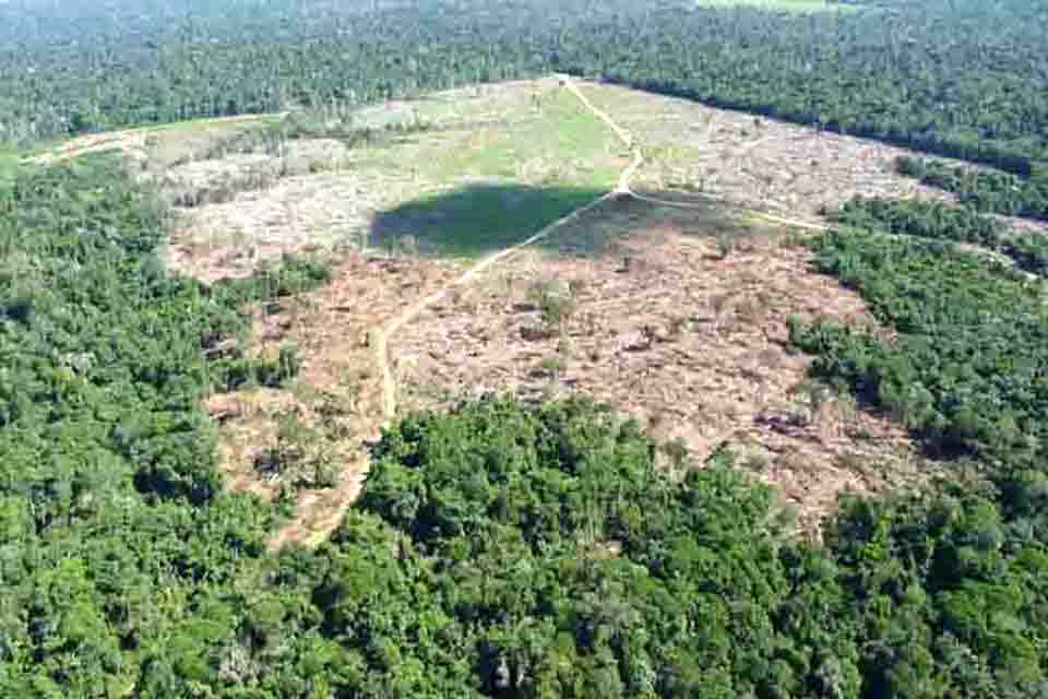 Advocacia-Geral da União obtém condenação de infratores ambientais a recuperar cerca de 454 hectares em Rondônia
