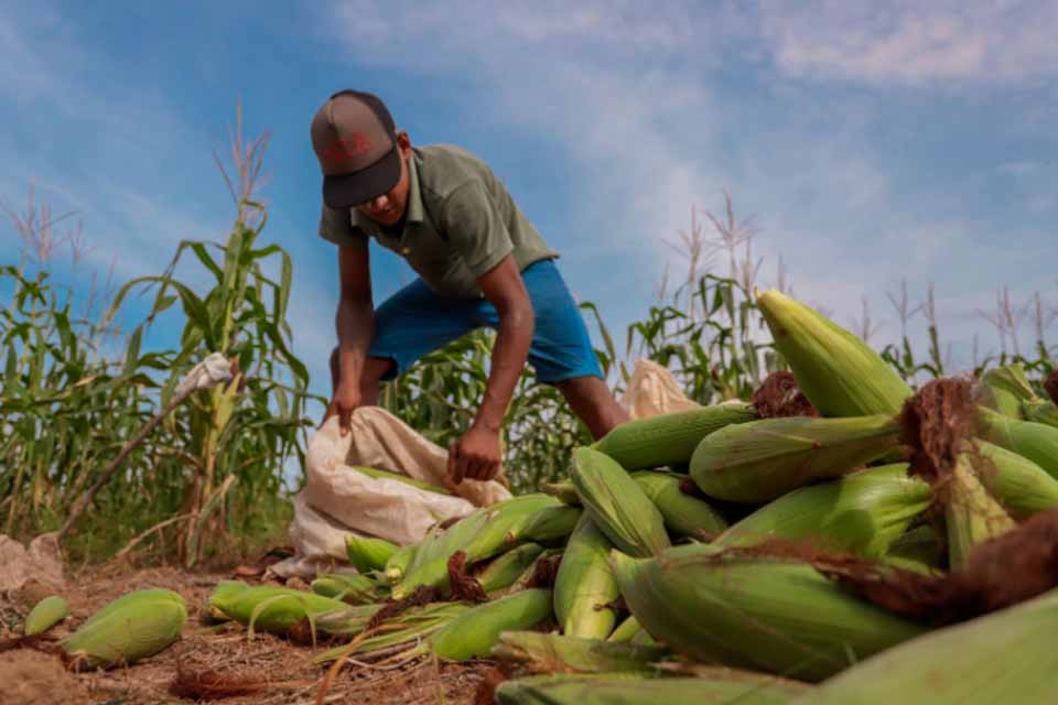 Prefeitura de Porto Velho celebra a importância dos agricultores e reforça o apoio à agricultura familiar