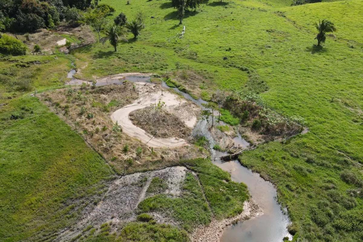Ações de recuperação de nascentes são fortalecidas pelo governo na microbacia do Rio Araras