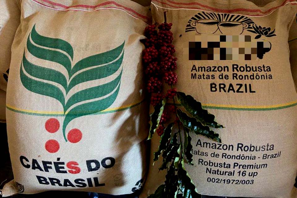 Novo preço mínimo para a saca de café conilon robusta de Rondônia durante a safra de 2021/22 é estabelecido