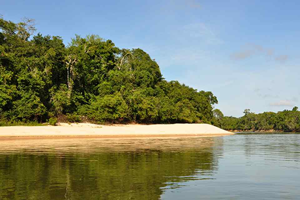 Parceria entre Emater-RO e Rioterra fortalecerá política de Regularização Ambiental em Rondônia