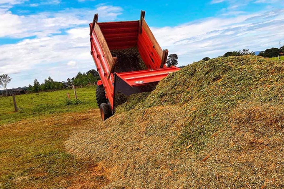 Espigão do Oeste ultrapassa 1 milhão de toneladas de silagem e fortalece agricultura