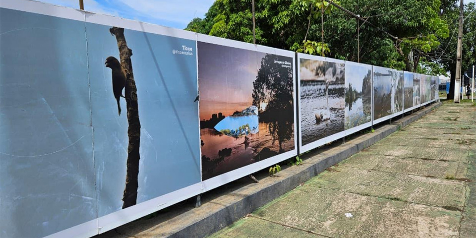 FCJP divulga amanhã resultado do concurso de fotografia