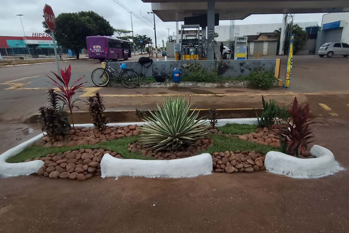 Jardins de chuva ajudam a reduzir impactos das chuvas