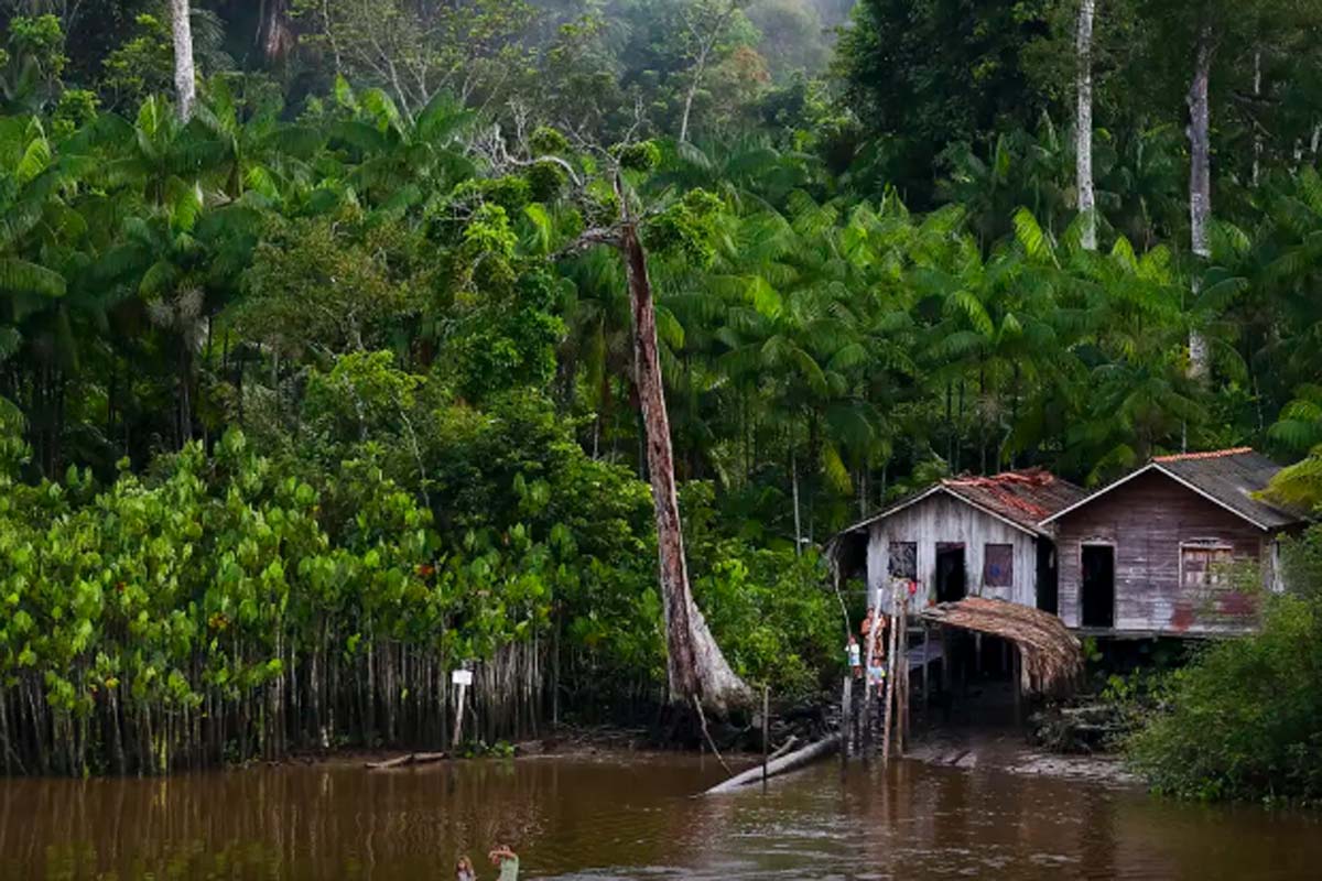 Projeto leva tratamento gratuito a doenças negligenciadas no Amazonas