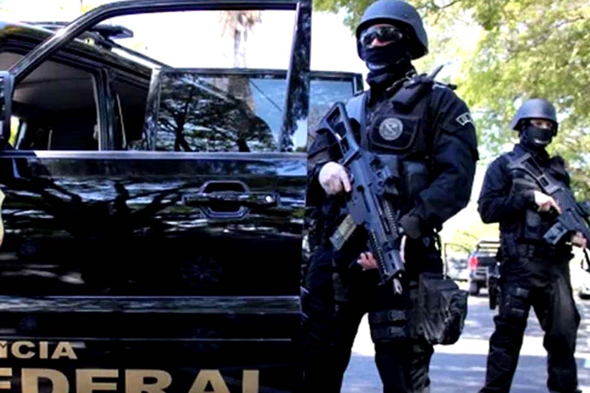 PF apreende mais de duas toneladas de maconha prensada no Paraná