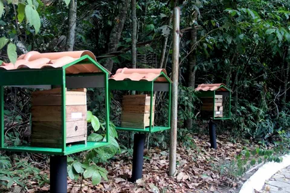 Sema inaugura santuário para abelhas no Parque Natural Raimundo Paraguassu
