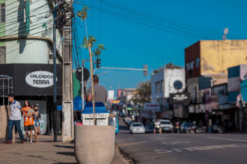 Porto Velho: Novos vasos com plantas são instalados ao longo da avenida Sete de Setembro