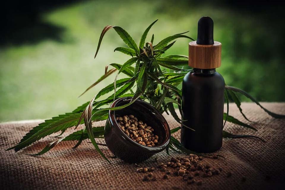 Canabinóides podem auxiliar no tratamento de doenças neurológicas