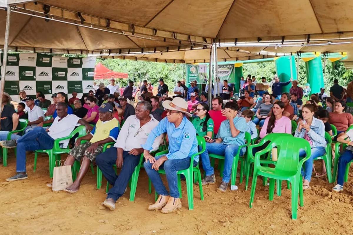 Tecnologia, manejo eficiente e assistência técnica elevam o padrão da cafeicultura em Rondônia