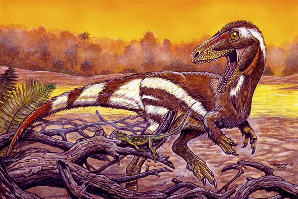 Pesquisadores apresentam fóssil de dinossauro encontrado no Ceará