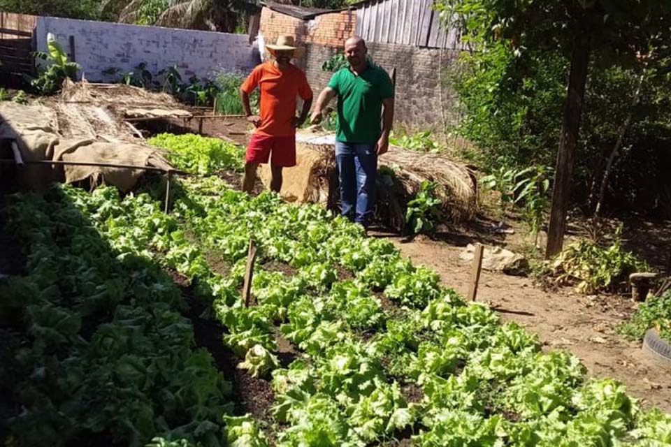 Prefeitura leva mais alimento a mesa das famílias através do Projeto Horta Social
