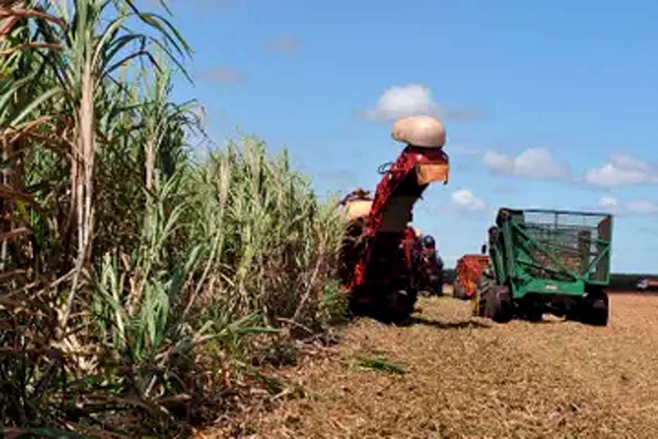 Seguro Rural: Benefício pode ganhar reforço de saldos remanescentes do PIS/Pasep
