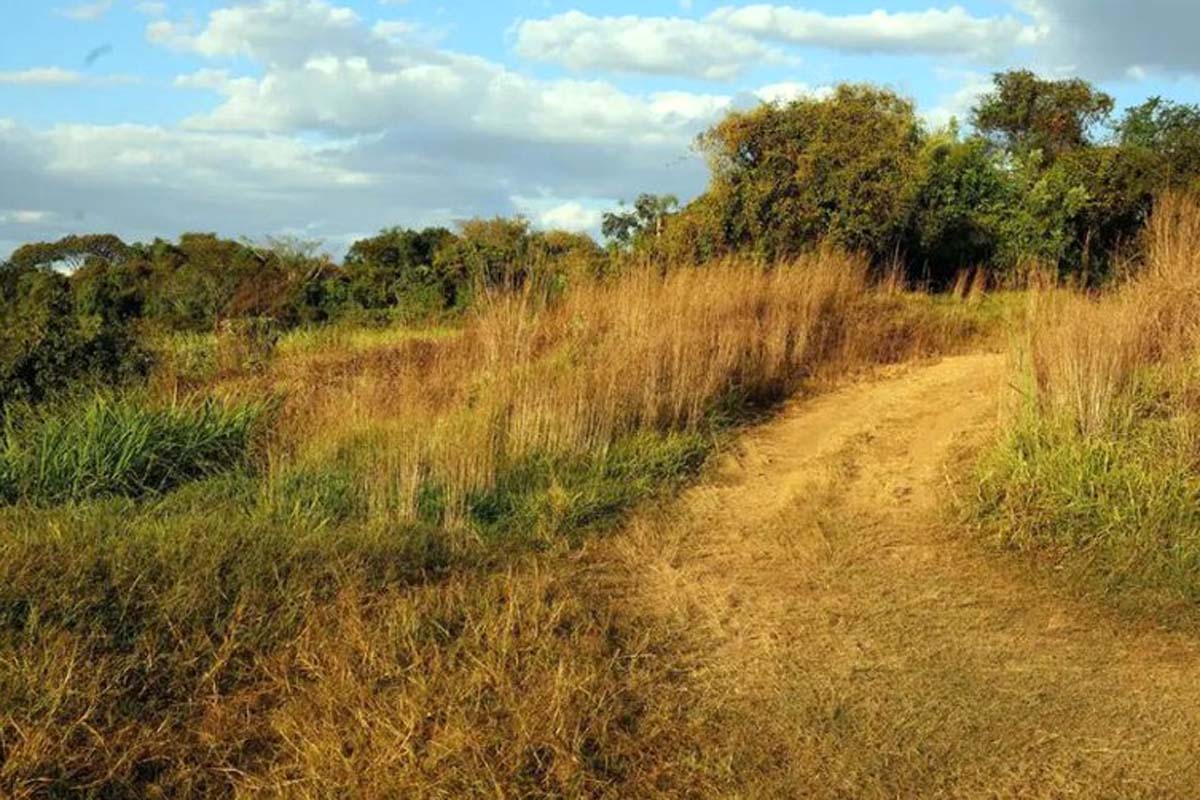 Após manifestação do MPF, Justiça reconhece fazenda em Rondônia como área pública para programas de reforma agrária