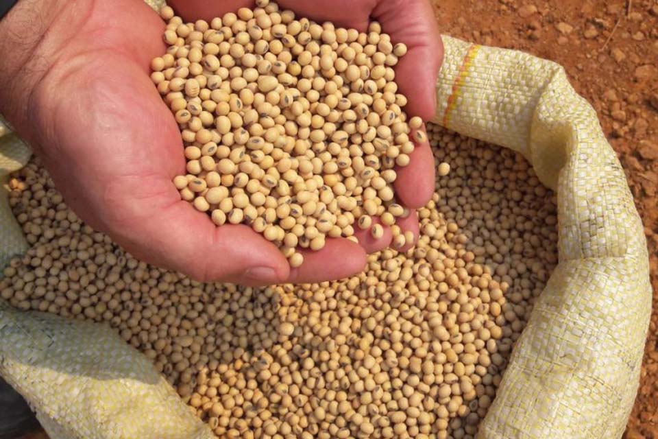 Produtores de soja devem cadastrar áreas que serão cultivadas para a safra 2019/2020