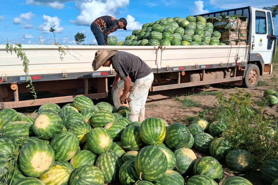Mais de 136 toneladas de alimentos são transportados pela Prefeitura em apoio aos produtores rurais de Porto Velho