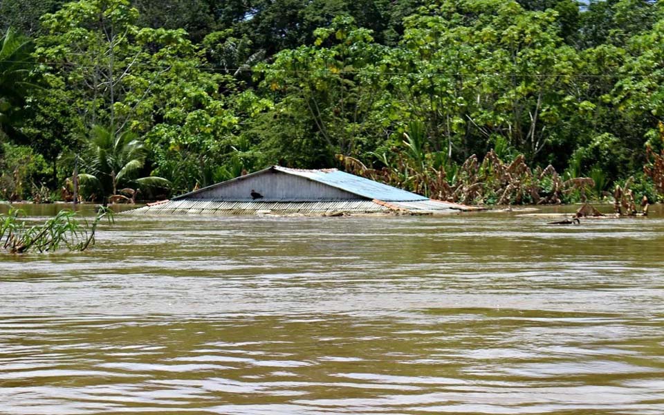 O RIBEIRINHO E AS ENCHENTES - por : Lúcio Albuquerque
