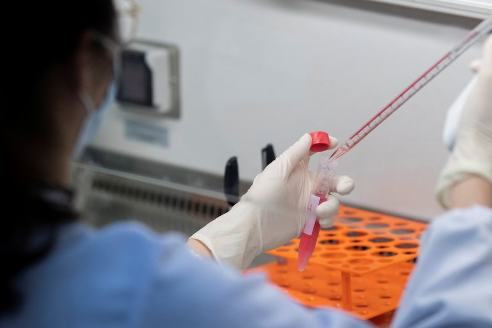 Brasil registra 800 mortes pelo novo coronavírus