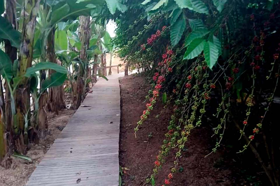 Vitrines tecnológicas destacam técnicas de manejo e cultivo de excelência