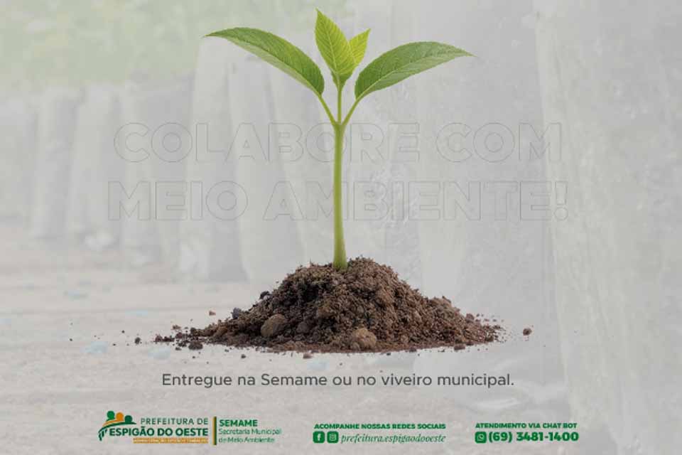 Prefeutura convoca população para doar mudas de espécies florestais ao viveiro municipal