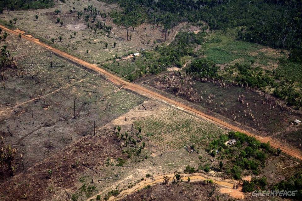 Rondônia figura entre piores estados com desmatamento considerado irregular durante a gestão Bolsonaro