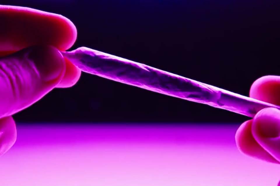 Uso diário de maconha supera pela primeira vez o de álcool nos EUA, aponta pesquisa