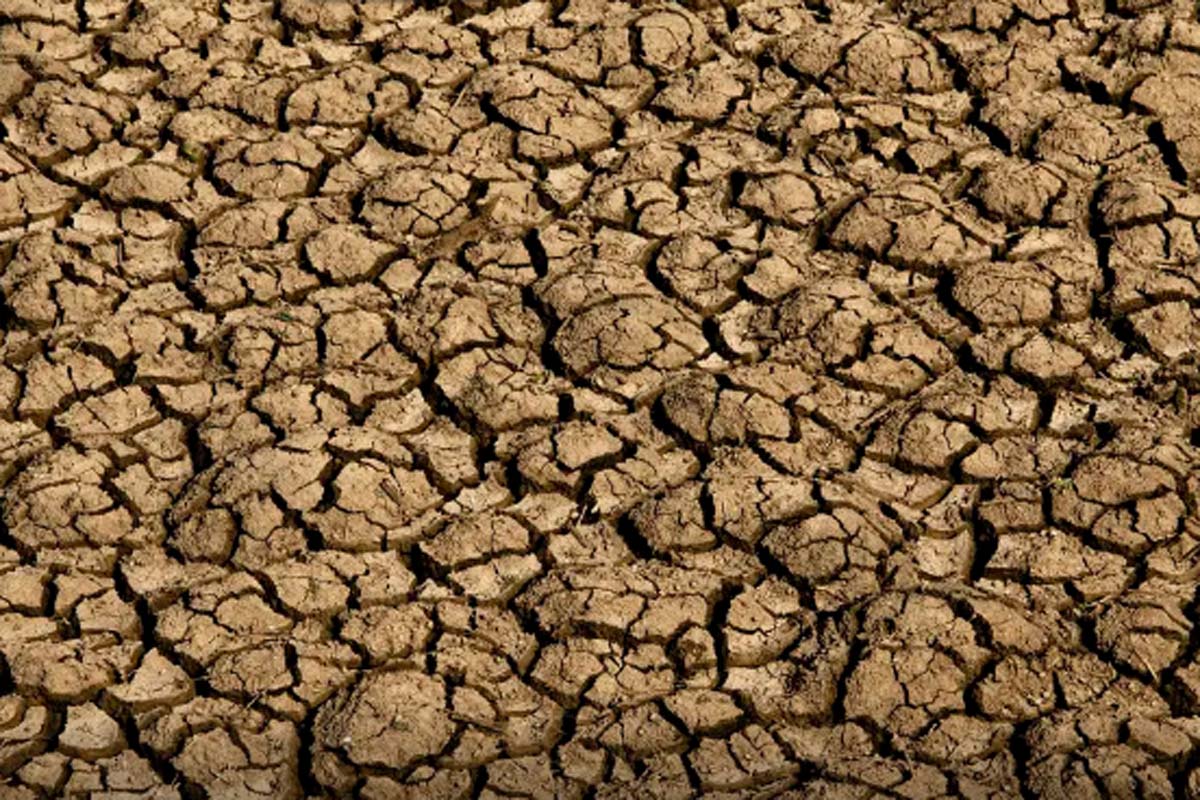 Brasil promete restaurar 163 mil km² de terras degradadas até 2030 