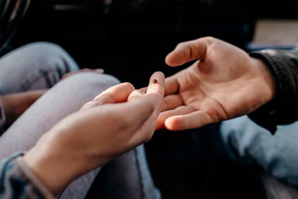 Relacionamento: é possível amar duas pessoas ao mesmo tempo?