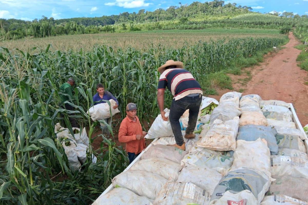No Dia do Agronegócio, Porto Velho destaca a força da agricultura familiar